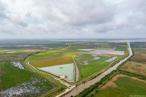 658 Acres of Recreational Land & Farm for Sale in Lake Arthur, Louisiana