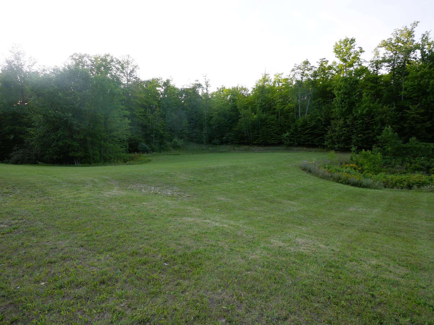 0.84 Acres of Land for Sale in Hillman, Michigan