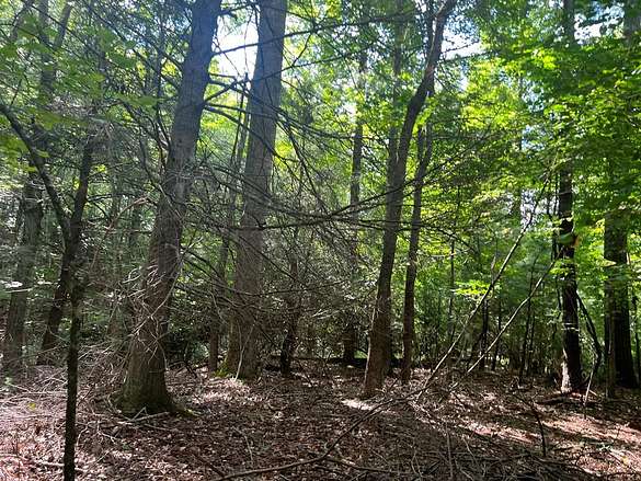 1 Acre of Residential Land for Sale in Elk Creek, Virginia