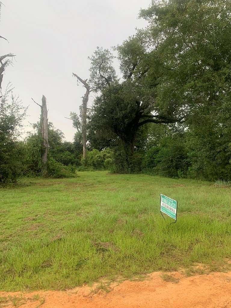 0.6 Acres of Land for Sale in Donalsonville, Georgia