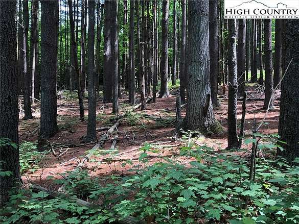 141 Acres of Recreational Land for Sale in Sparta, North Carolina