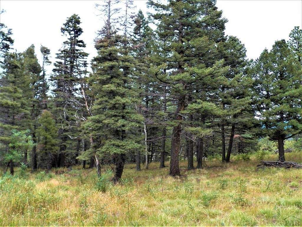 0.81 Acres of Residential Land for Sale in Aguilar, Colorado