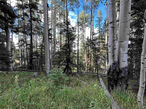 0.76 Acres of Residential Land for Sale in Angel Fire, New Mexico