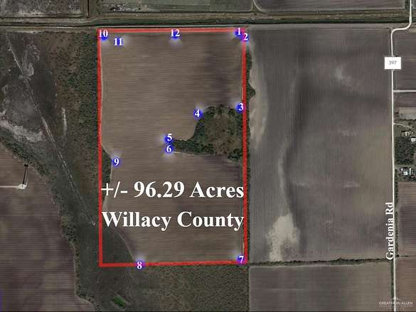 96.3 Acres of Land for Sale in Lyford, Texas