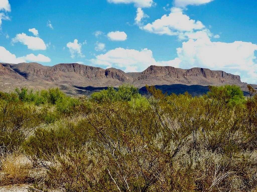 40 Acres of Recreational Land for Sale in Terlingua, Texas