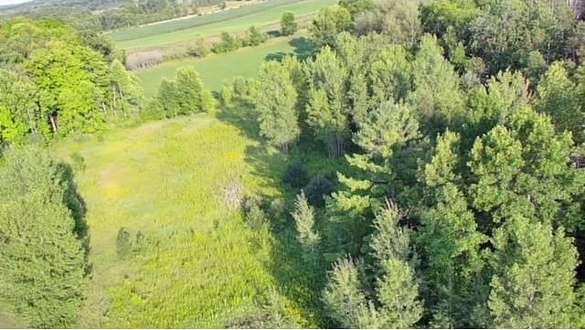3 Acres of Residential Land for Sale in Cecil, Wisconsin
