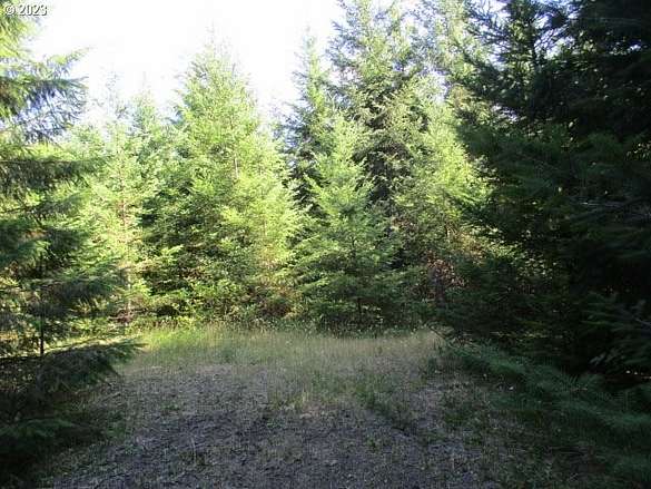 164 Acres of Land for Sale in McMinnville, Oregon