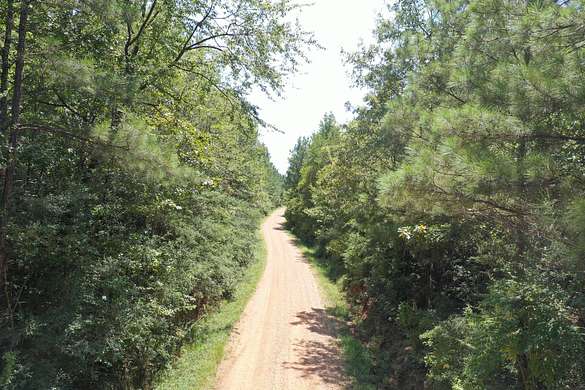 106 Acres of Recreational Land for Sale in Greensburg, Louisiana