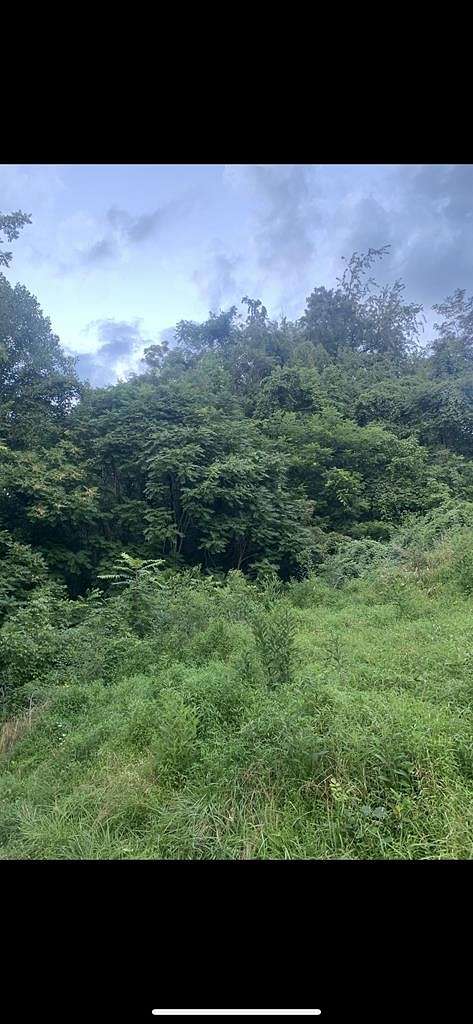74.9 Acres of Land for Sale in Reader, West Virginia