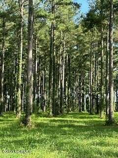 0.55 Acres of Residential Land for Sale in Oriental, North Carolina