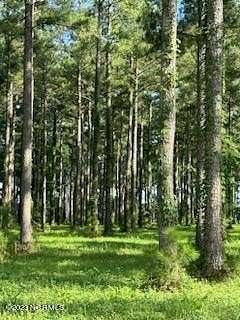 0.55 Acres of Residential Land for Sale in Oriental, North Carolina