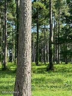 0.55 Acres of Residential Land for Sale in Oriental, North Carolina