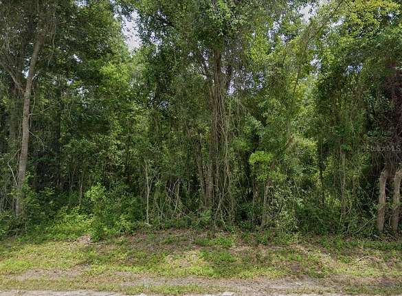 11.1 Acres of Recreational Land for Sale in Alachua, Florida