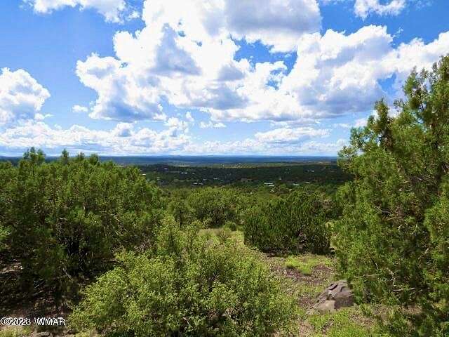 1.2 Acres of Residential Land for Sale in Concho, Arizona