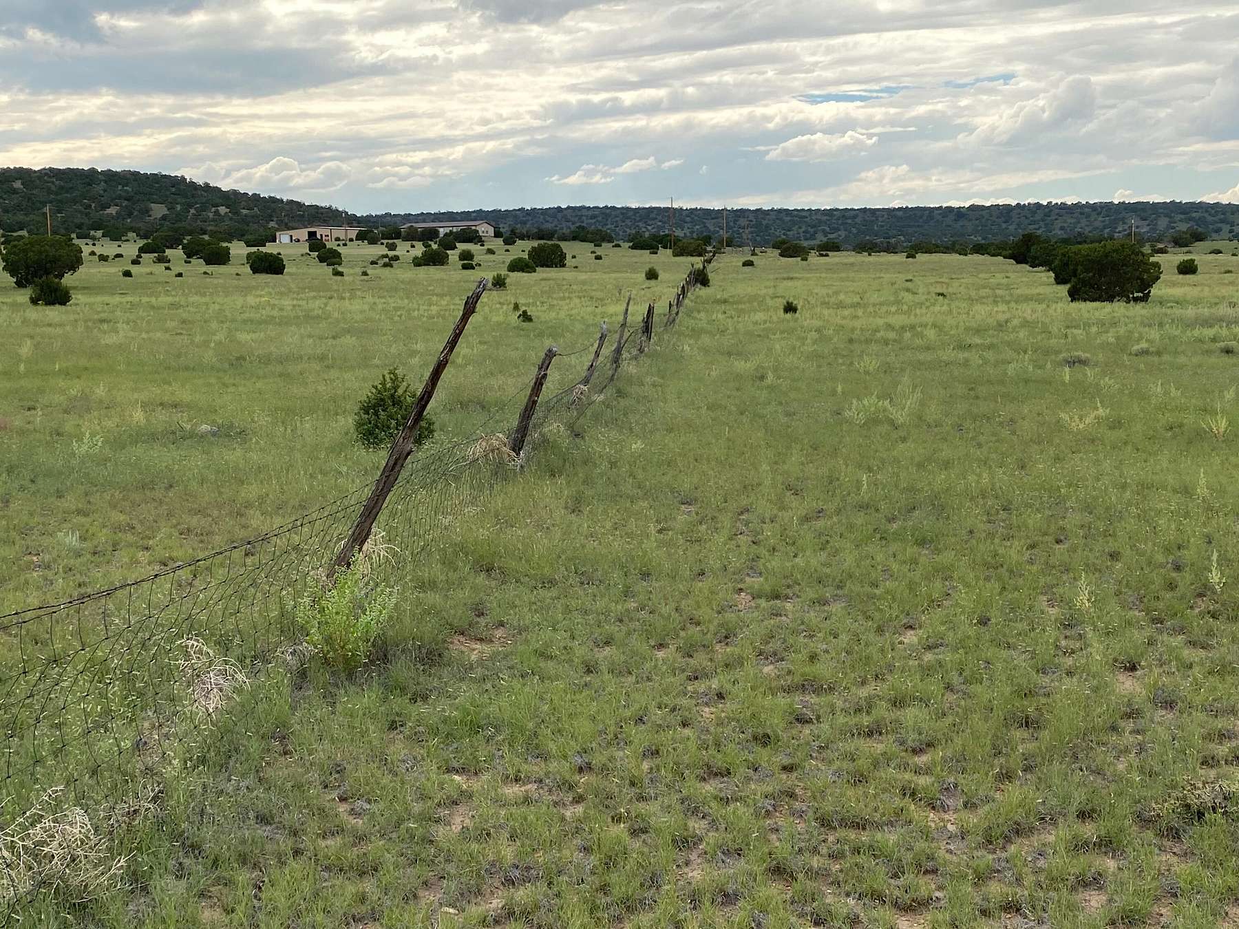 37.9 Acres of Recreational Land for Sale in Quemado, New Mexico