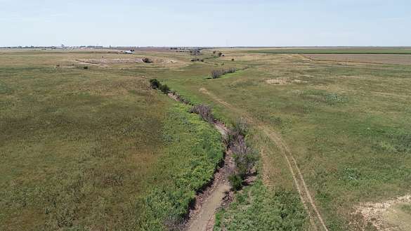 310 Acres of Agricultural Land for Sale in Spearman, Texas
