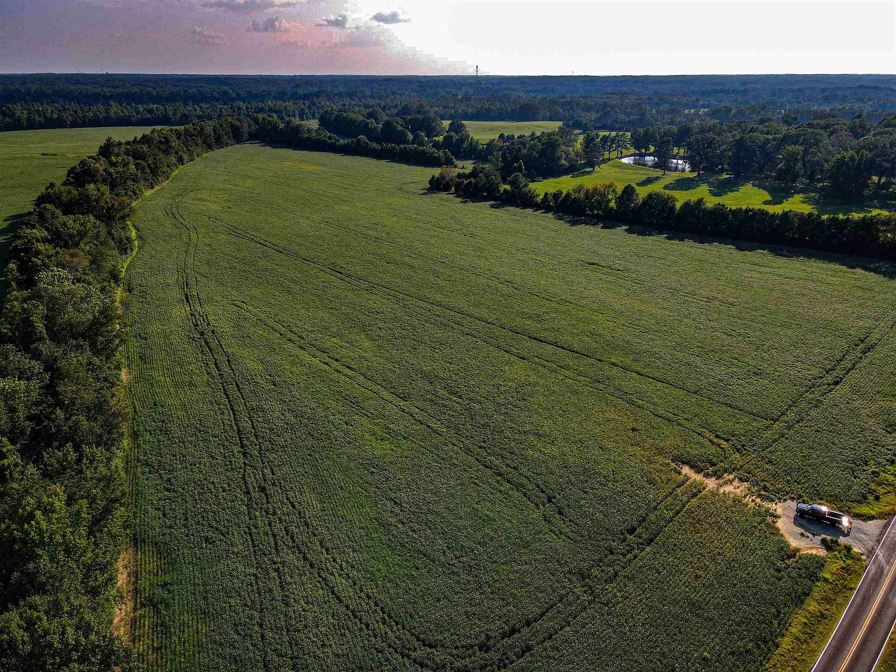 190 Acres of Land for Sale in Eads, Tennessee