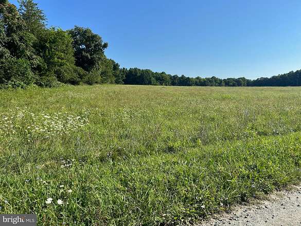 15.5 Acres of Commercial Land for Sale in Louisa, Virginia