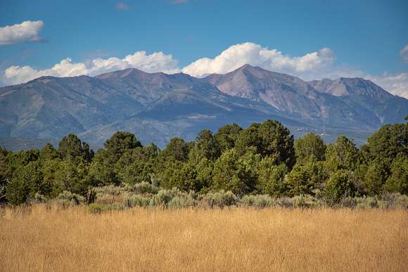 305.223 Acres of Recreational Land & Farm for Sale in Hesperus, Colorado