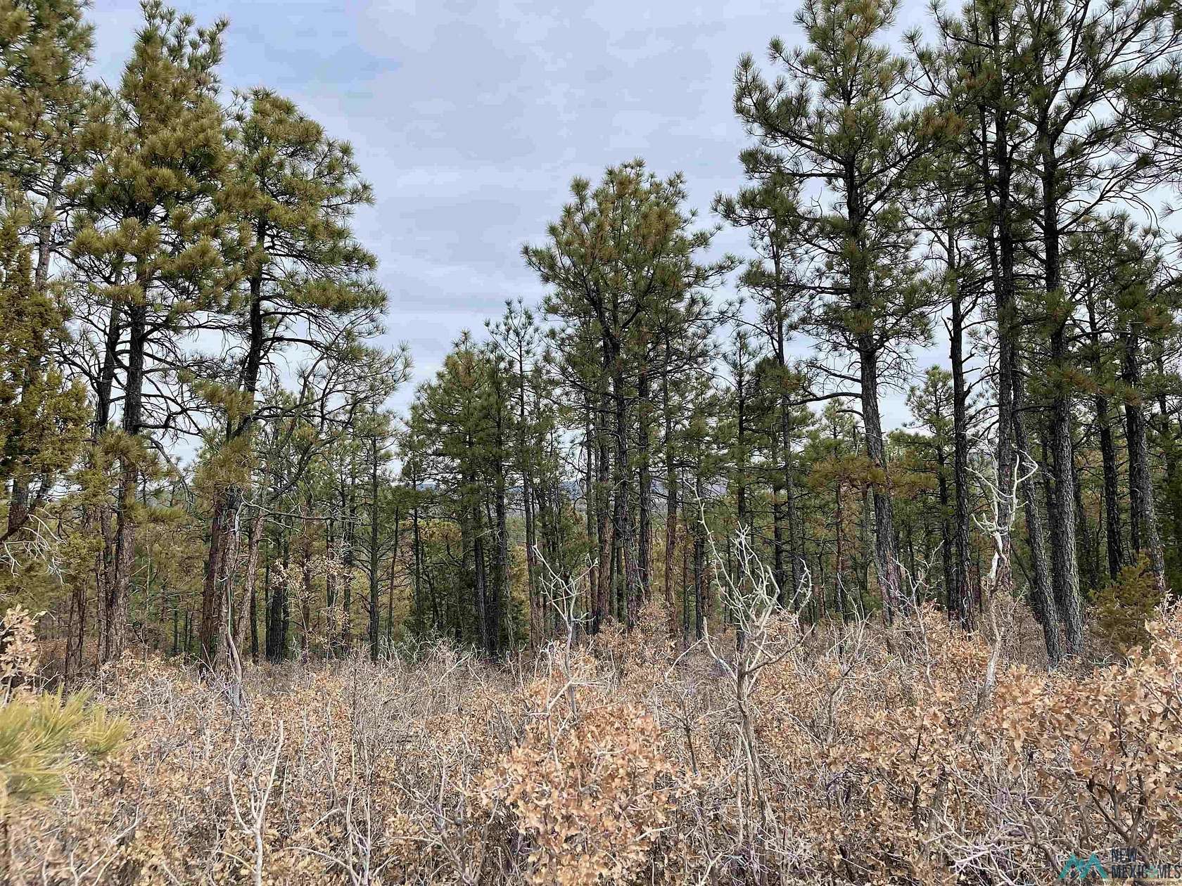 Residential Land for Sale in Timberon, New Mexico