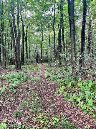 13.1 Acres of Recreational Land for Sale in Lake Ariel, Pennsylvania