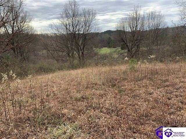 1 Acre of Residential Land for Sale in Leitchfield, Kentucky