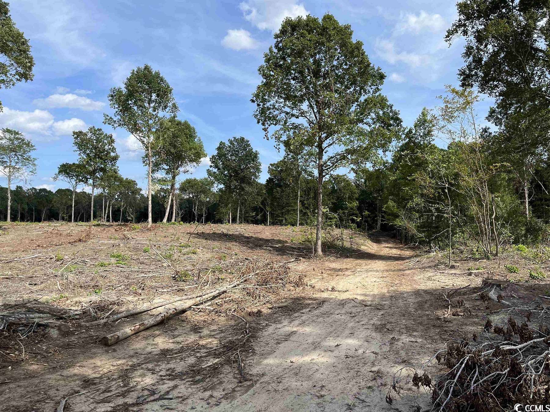 40 Acres of Recreational Land for Sale in Johnsonville, South Carolina