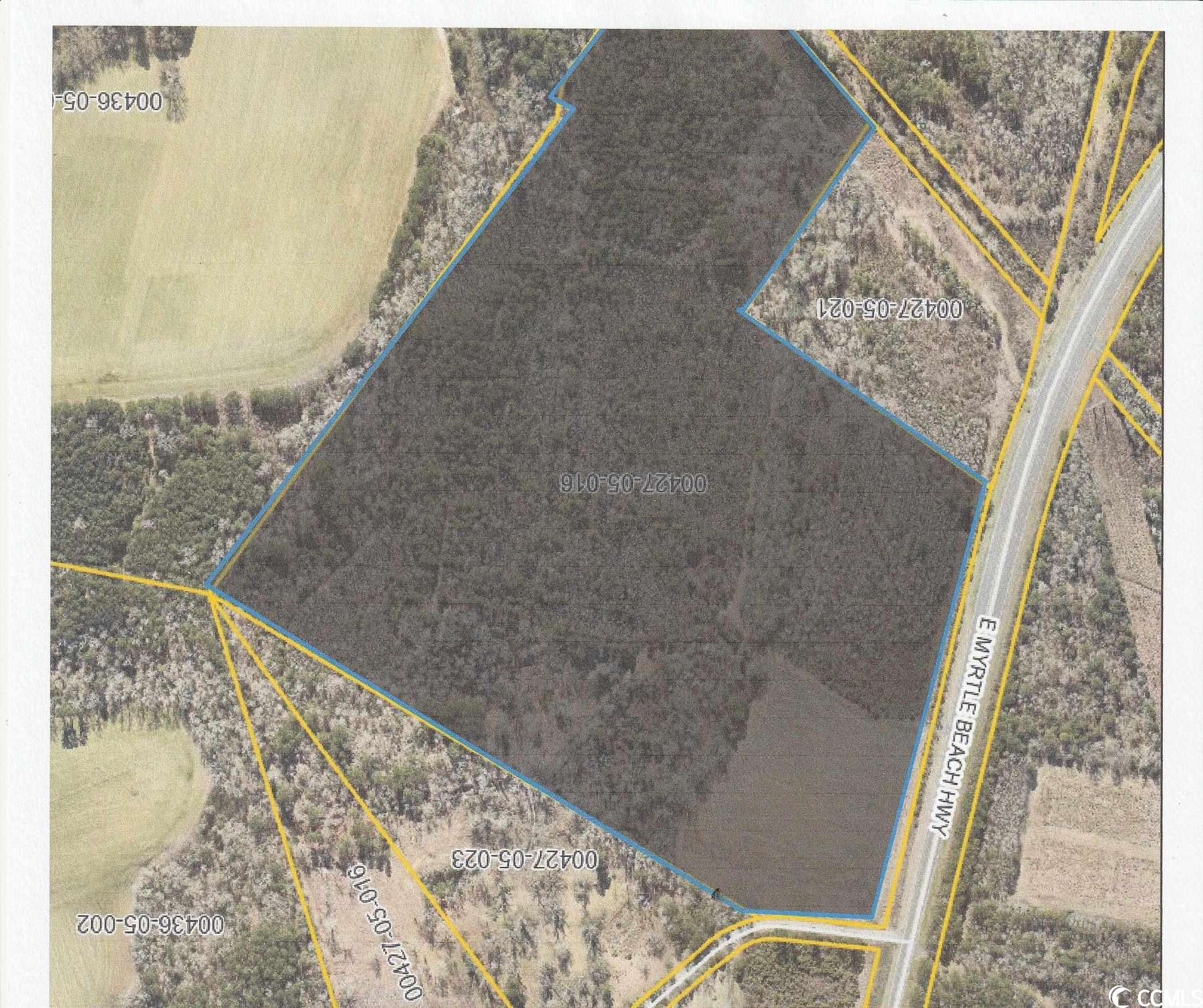 40 Acres of Recreational Land for Sale in Johnsonville, South Carolina