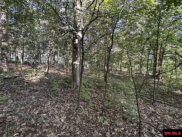 0.39 Acres of Residential Land for Sale in Midway, Arkansas