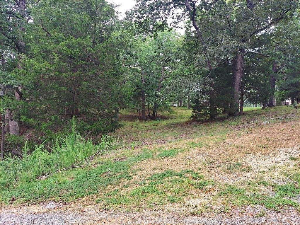 0.63 Acres of Residential Land for Sale in Springville, Tennessee