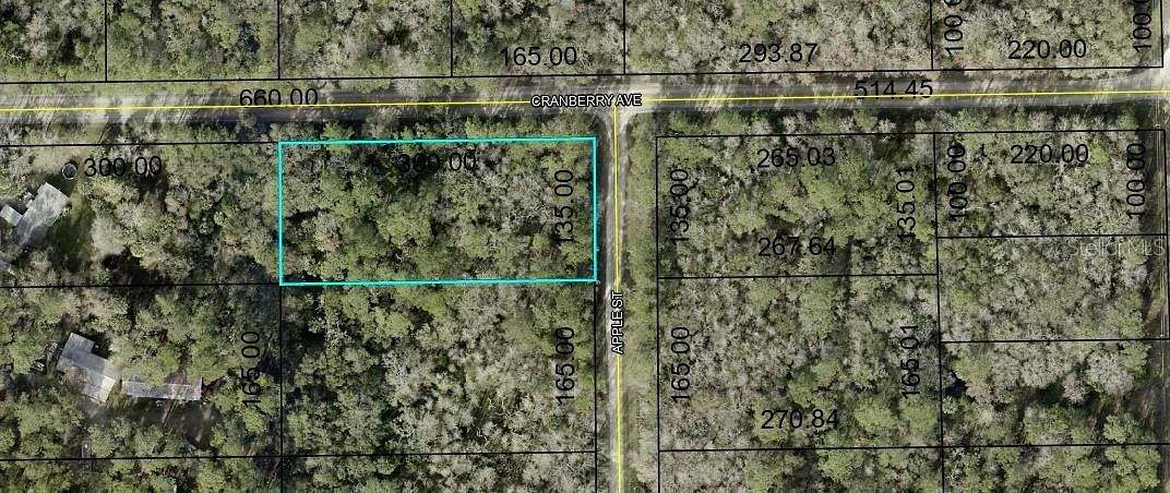 0.93 Acres of Residential Land for Sale in Bunnell, Florida