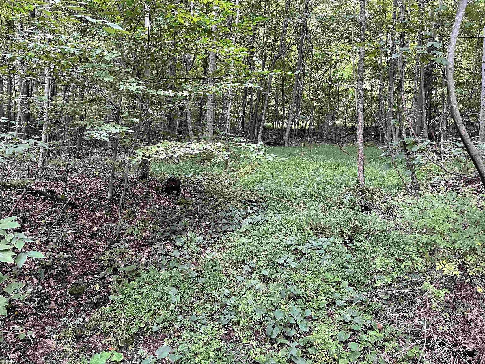 19.7 Acres of Land for Sale in Fairmont, West Virginia