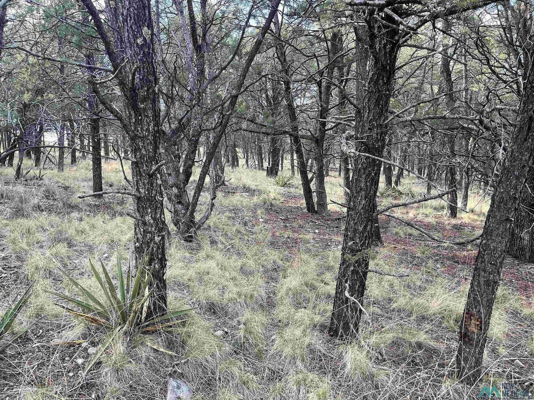 0.4 Acres of Residential Land for Sale in Timberon, New Mexico
