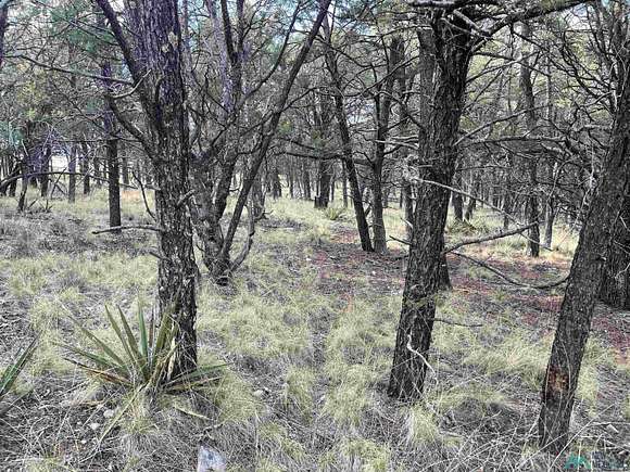 0.4 Acres of Land for Sale in Timberon, New Mexico