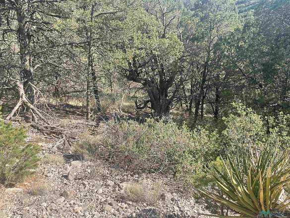 0.73 Acres of Land for Sale in Timberon, New Mexico