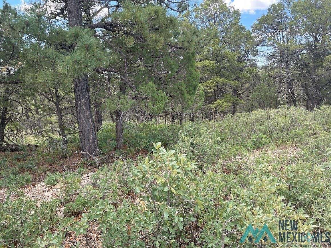 1.3 Acres of Land for Sale in Timberon, New Mexico