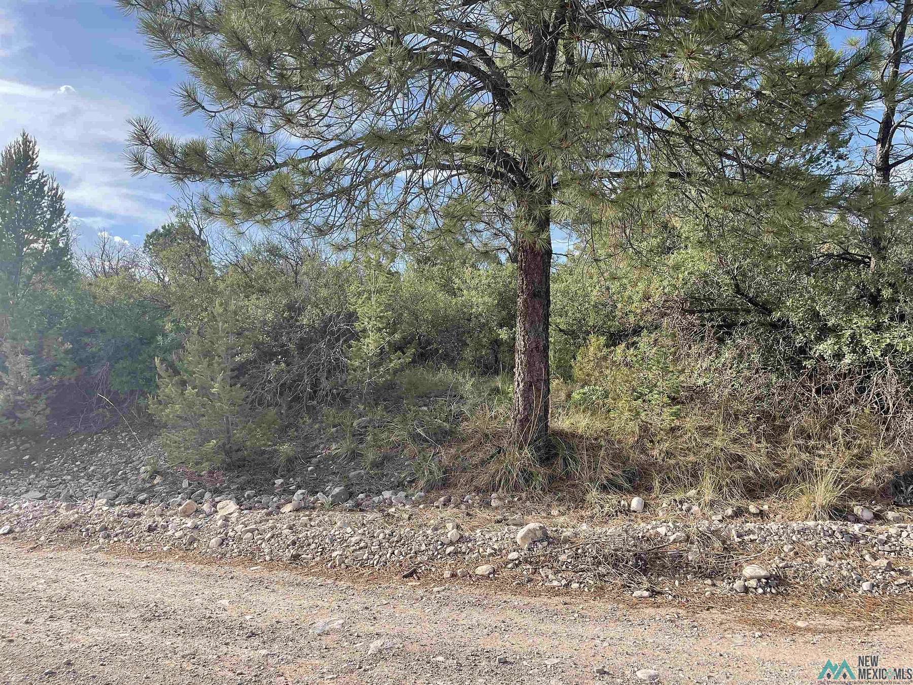 0.51 Acres of Residential Land for Sale in Timberon, New Mexico