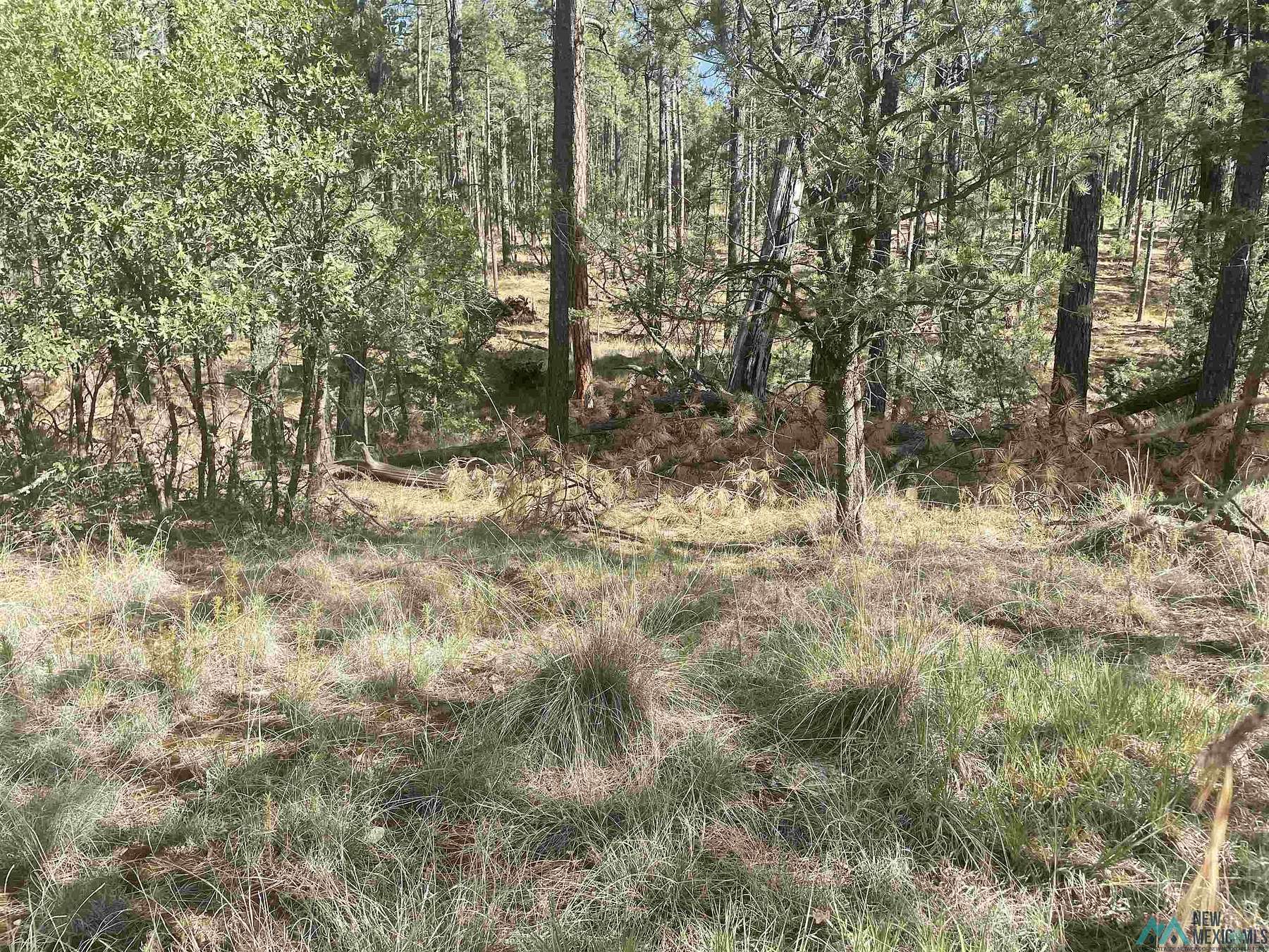 0.49 Acres of Residential Land for Sale in Timberon, New Mexico