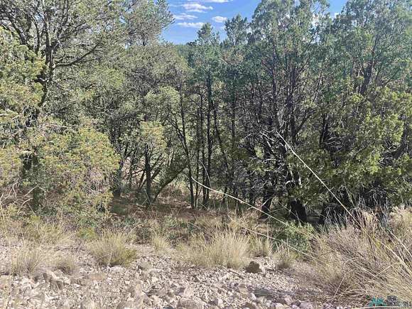 1.15 Acres of Land for Sale in Timberon, New Mexico