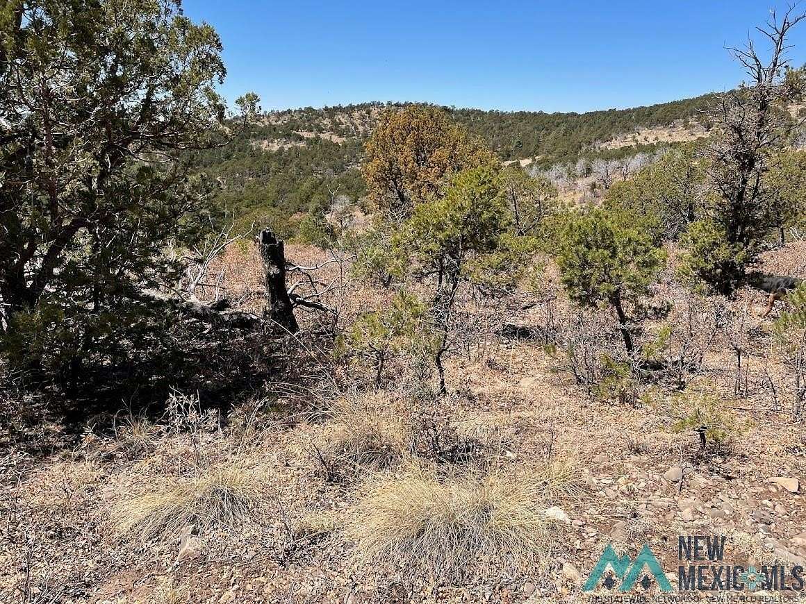 8.54 Acres of Land for Sale in Timberon, New Mexico