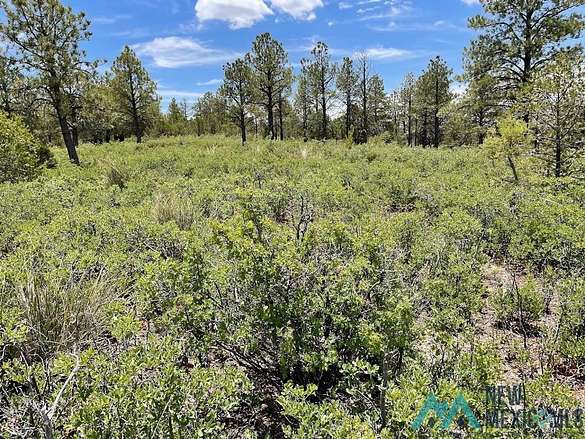 0.5 Acres of Residential Land for Sale in Timberon, New Mexico