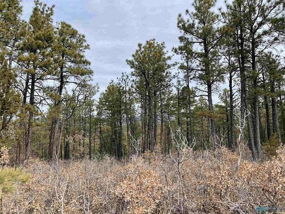 1.2 Acres of Land for Sale in Timberon, New Mexico