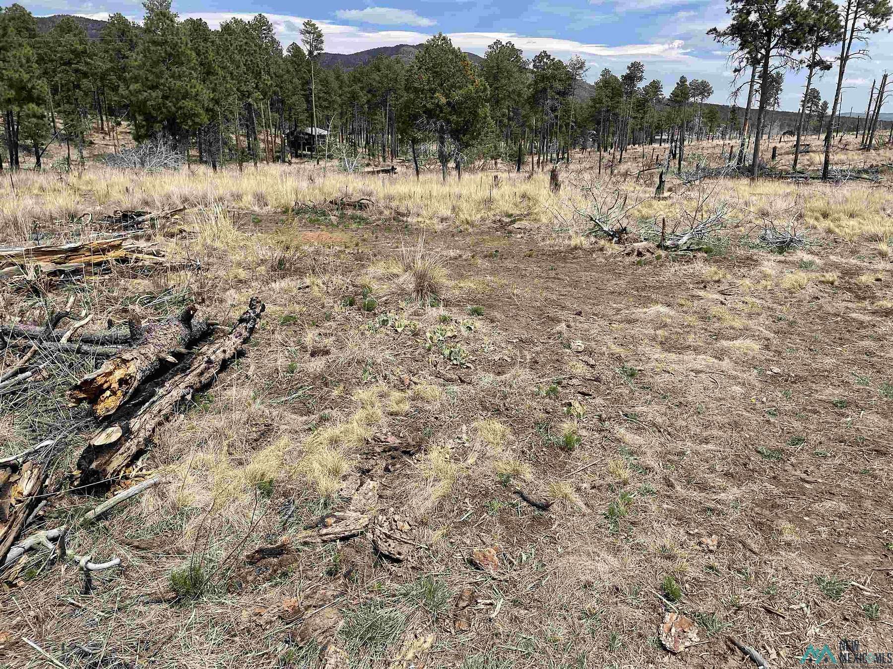 1.1 Acres of Residential Land for Sale in Timberon, New Mexico