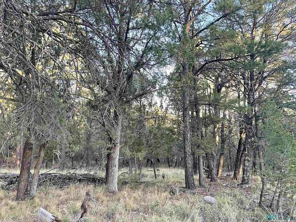 0.5 Acres of Land for Sale in Timberon, New Mexico