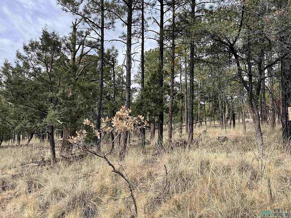 0.49 Acres of Residential Land for Sale in Timberon, New Mexico