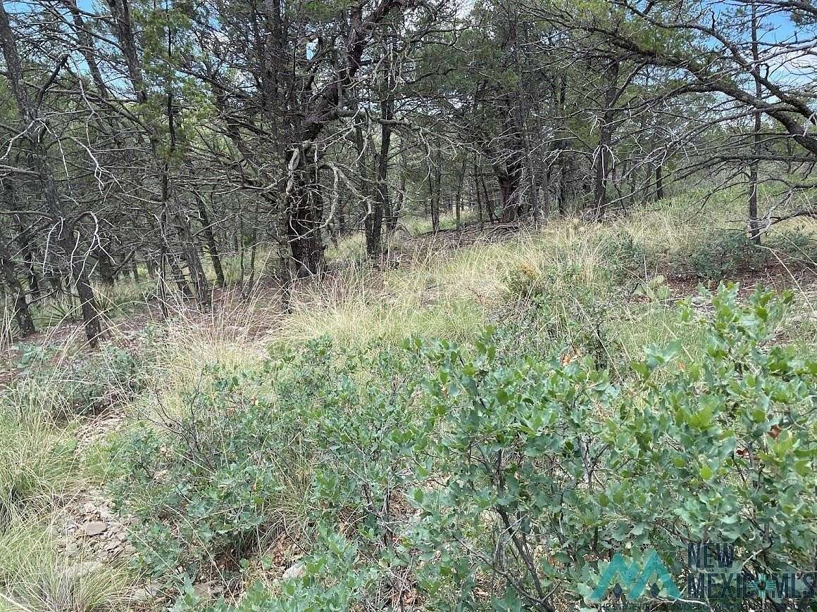 1.1 Acres of Land for Sale in Timberon, New Mexico