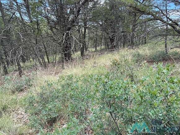 1.1 Acres of Land for Sale in Timberon, New Mexico