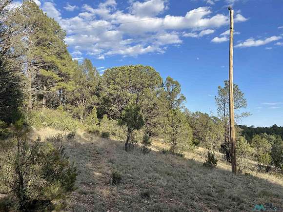 0.69 Acres of Land for Sale in Timberon, New Mexico