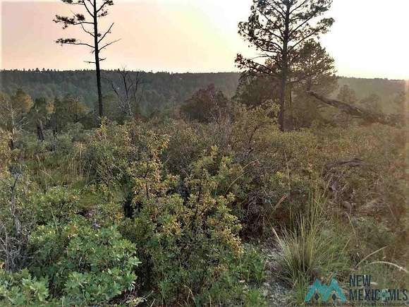 1 Acre of Land for Sale in Timberon, New Mexico