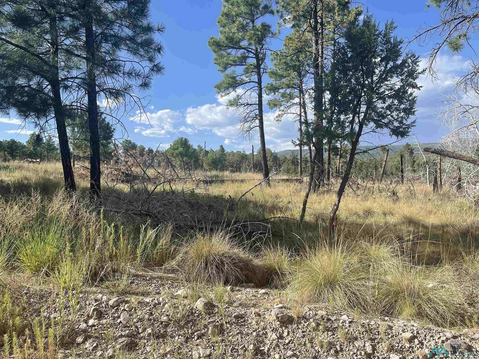 0.53 Acres of Residential Land for Sale in Timberon, New Mexico